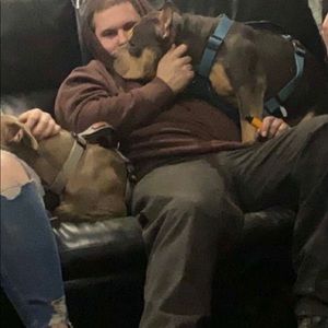 Meet your Posher, Joseph